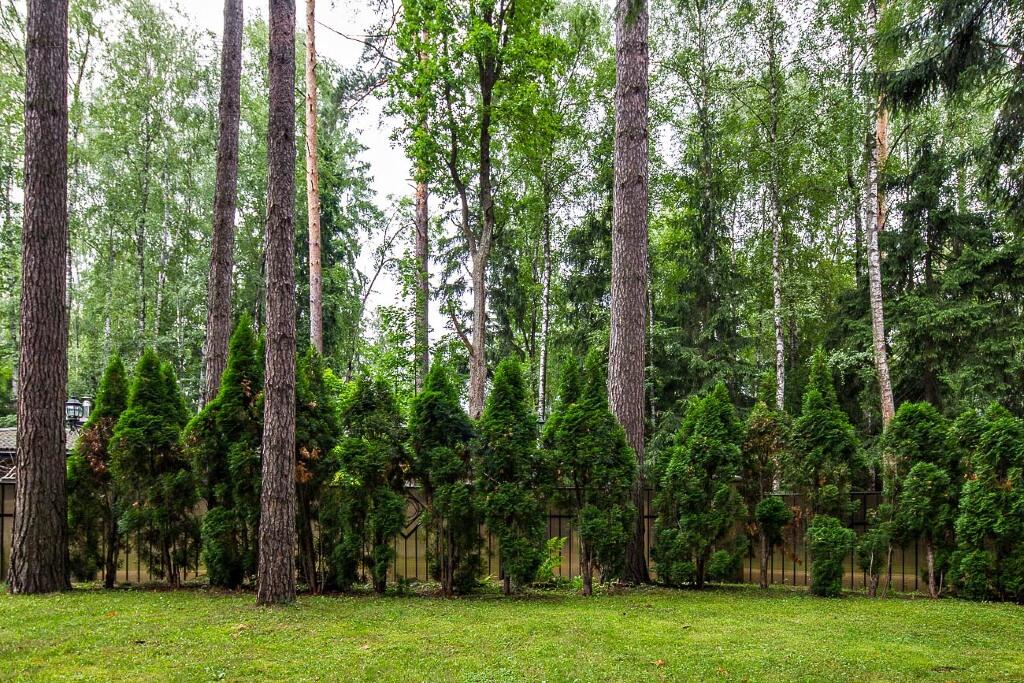 2-этажный коттедж 850 м² с отделкой