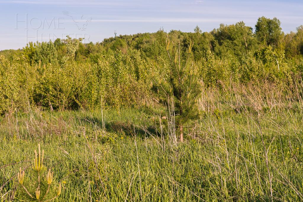 Участок 14.8 сот. в охраняемом поселке