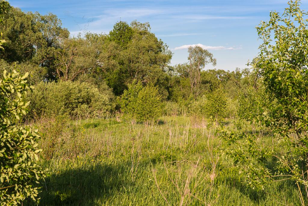 Участок 90 сот. в охраняемом поселке
