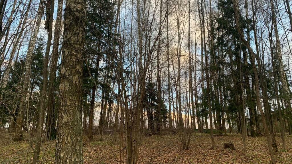 Участок 20 сот. в охраняемом поселке