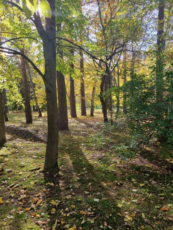 Участок 220 сот.