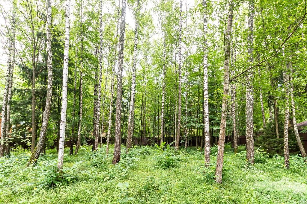 3-этажный коттедж 8 755 м² с отделкой