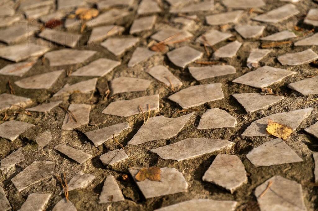 Участок 53 сот. в охраняемом поселке