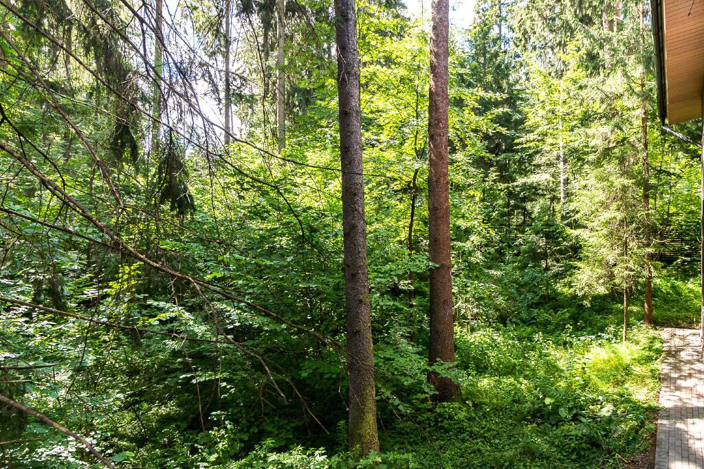 2-этажный коттедж 710 м² без отделки