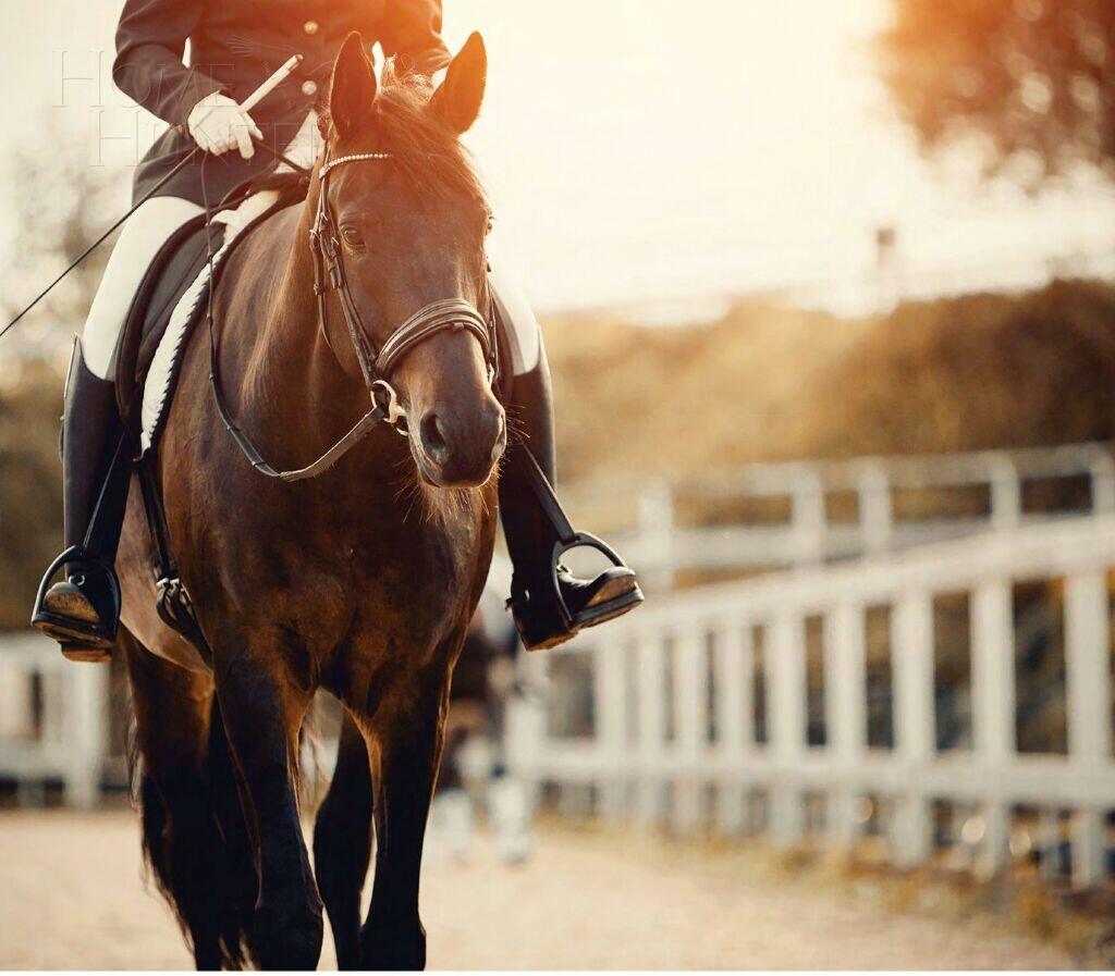 2-этажный коттедж 550 м² с отделкой