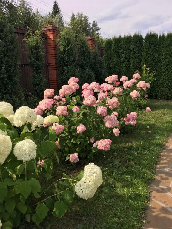 3-этажный коттедж 550 м² с отделкой