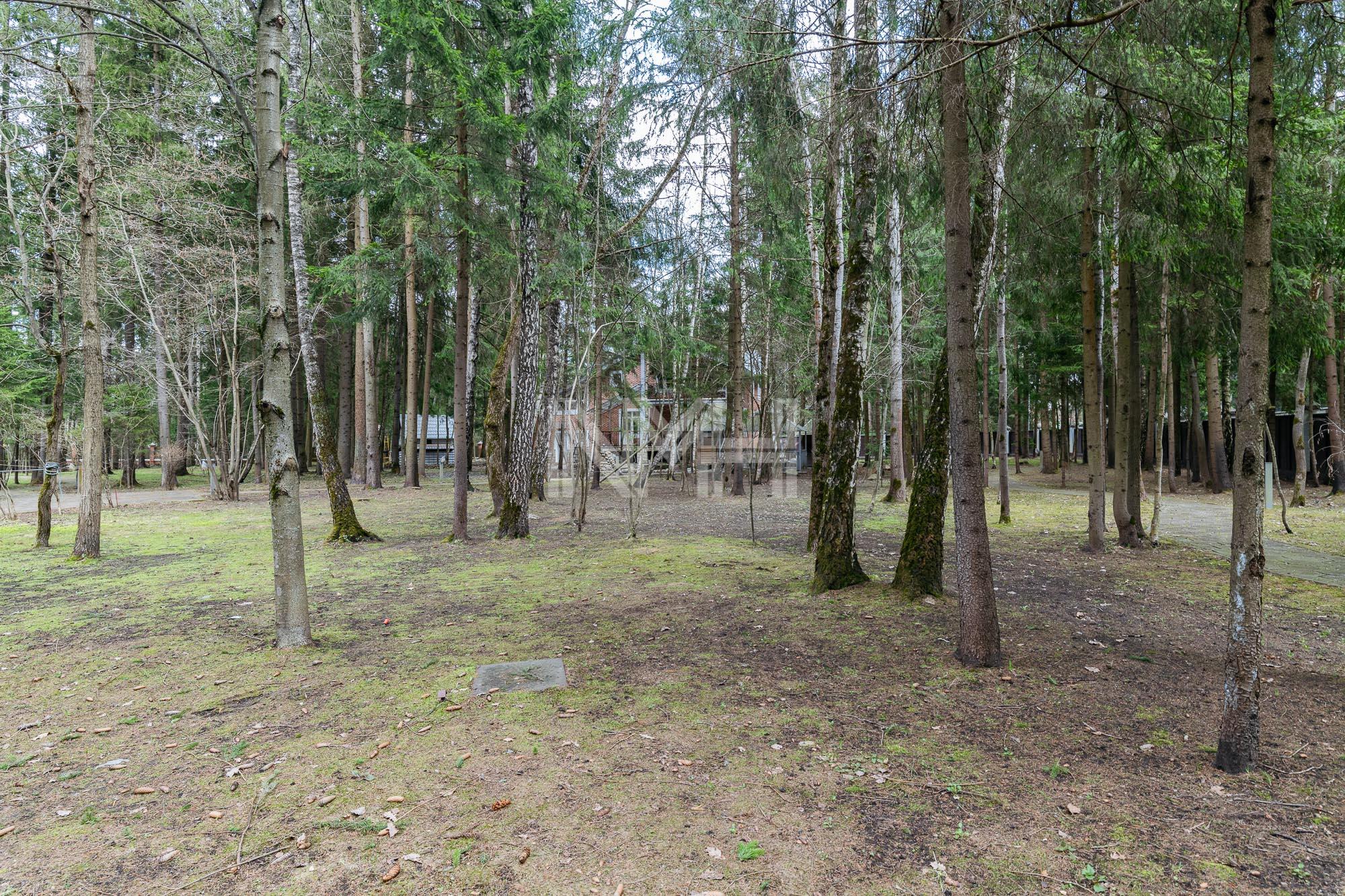 Участок 34.6 сот. в охраняемом поселке