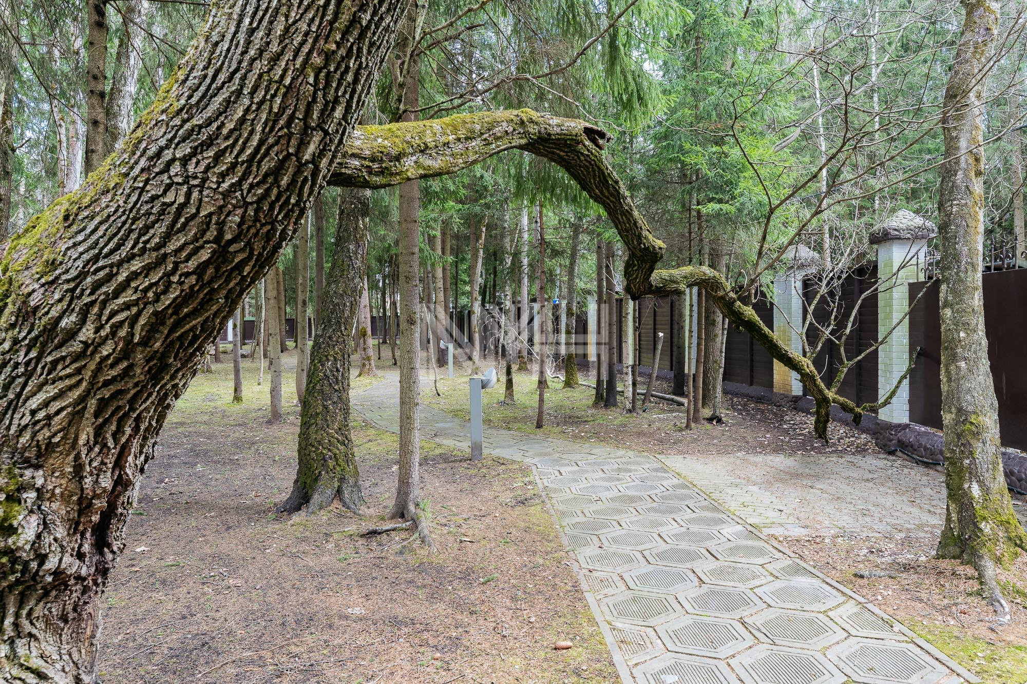 Участок 34.6 сот. в охраняемом поселке