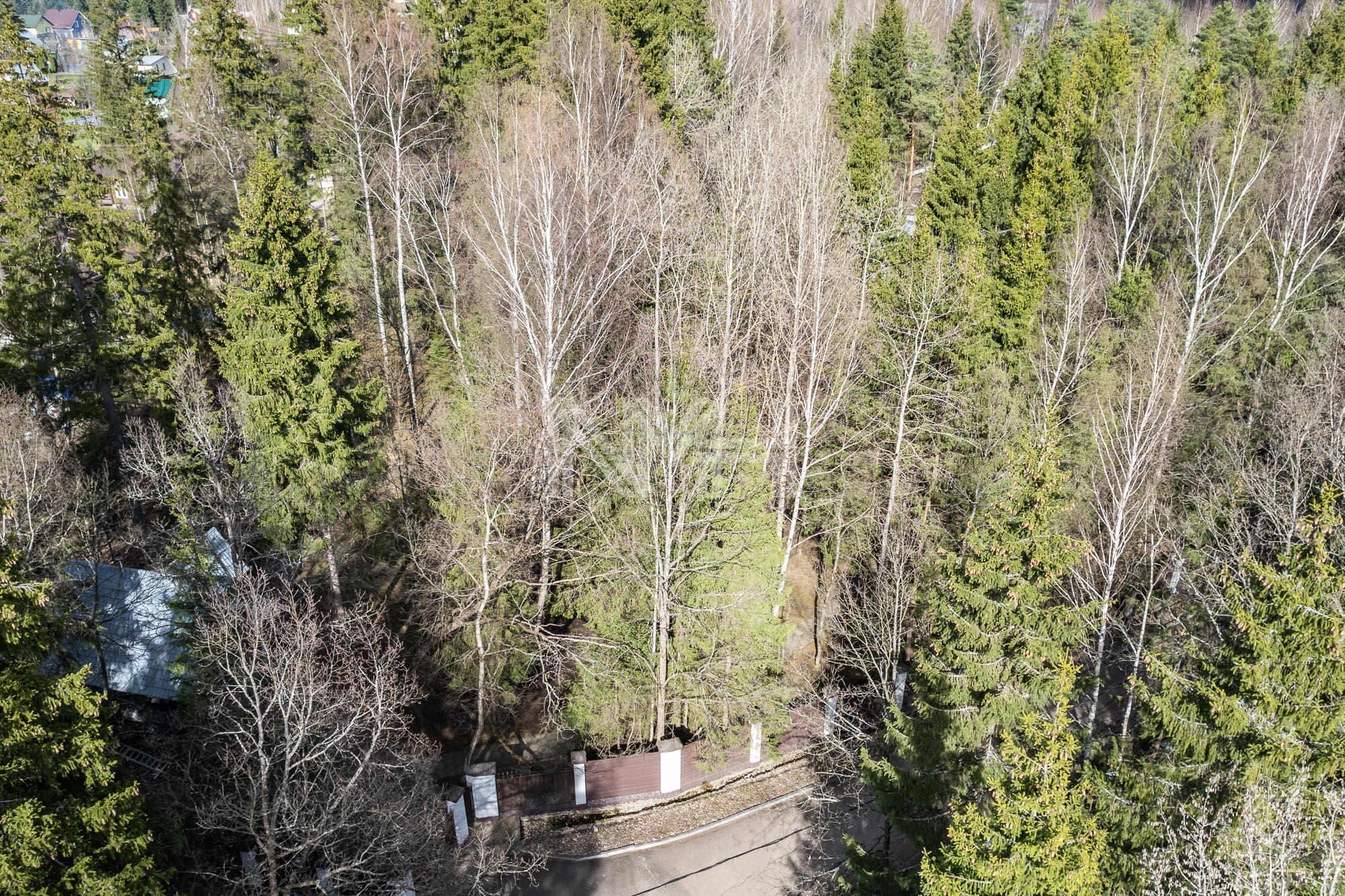 Участок 34.6 сот. в охраняемом поселке