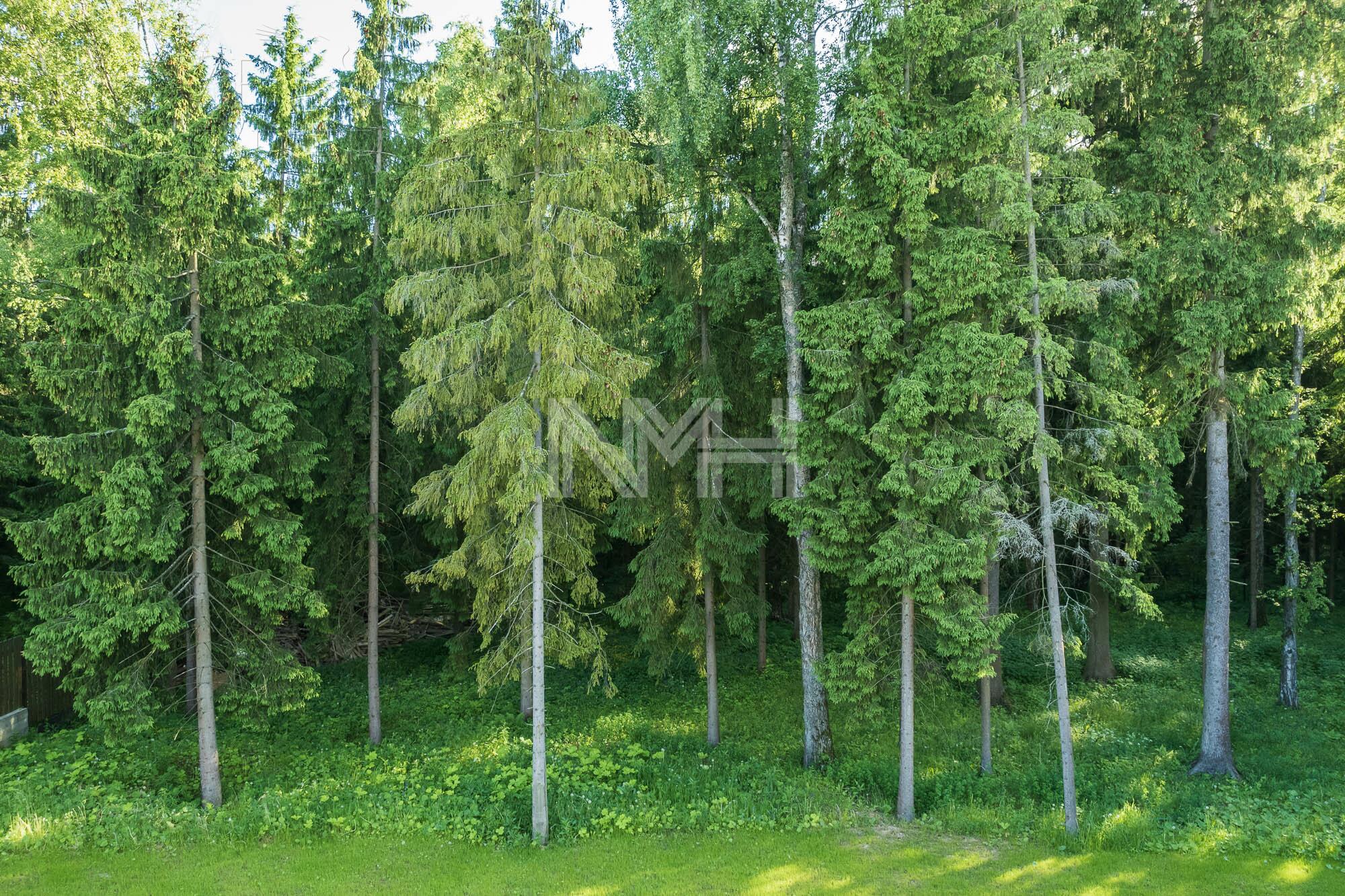 2-этажный коттедж 456 м² без отделки