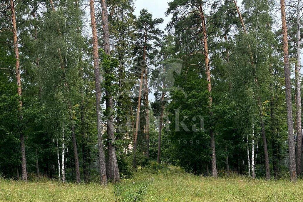 Участок 250 сот.