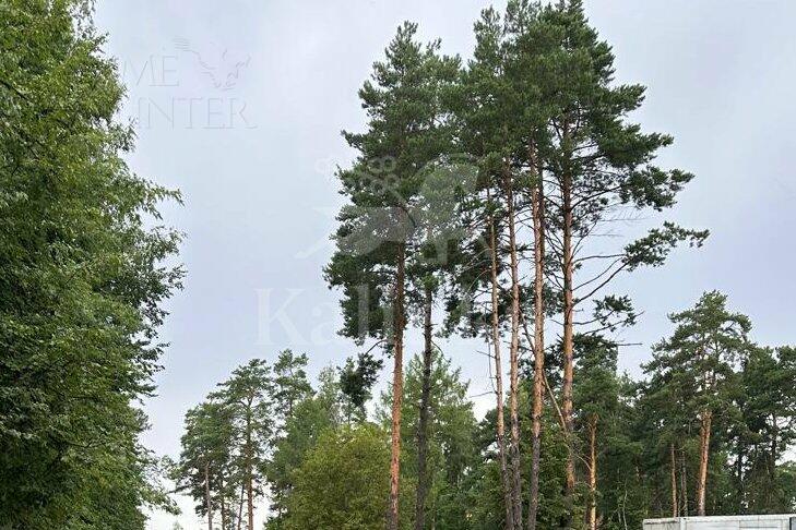 Участок 250 сот.