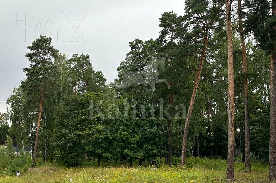 Участок 250 сот.