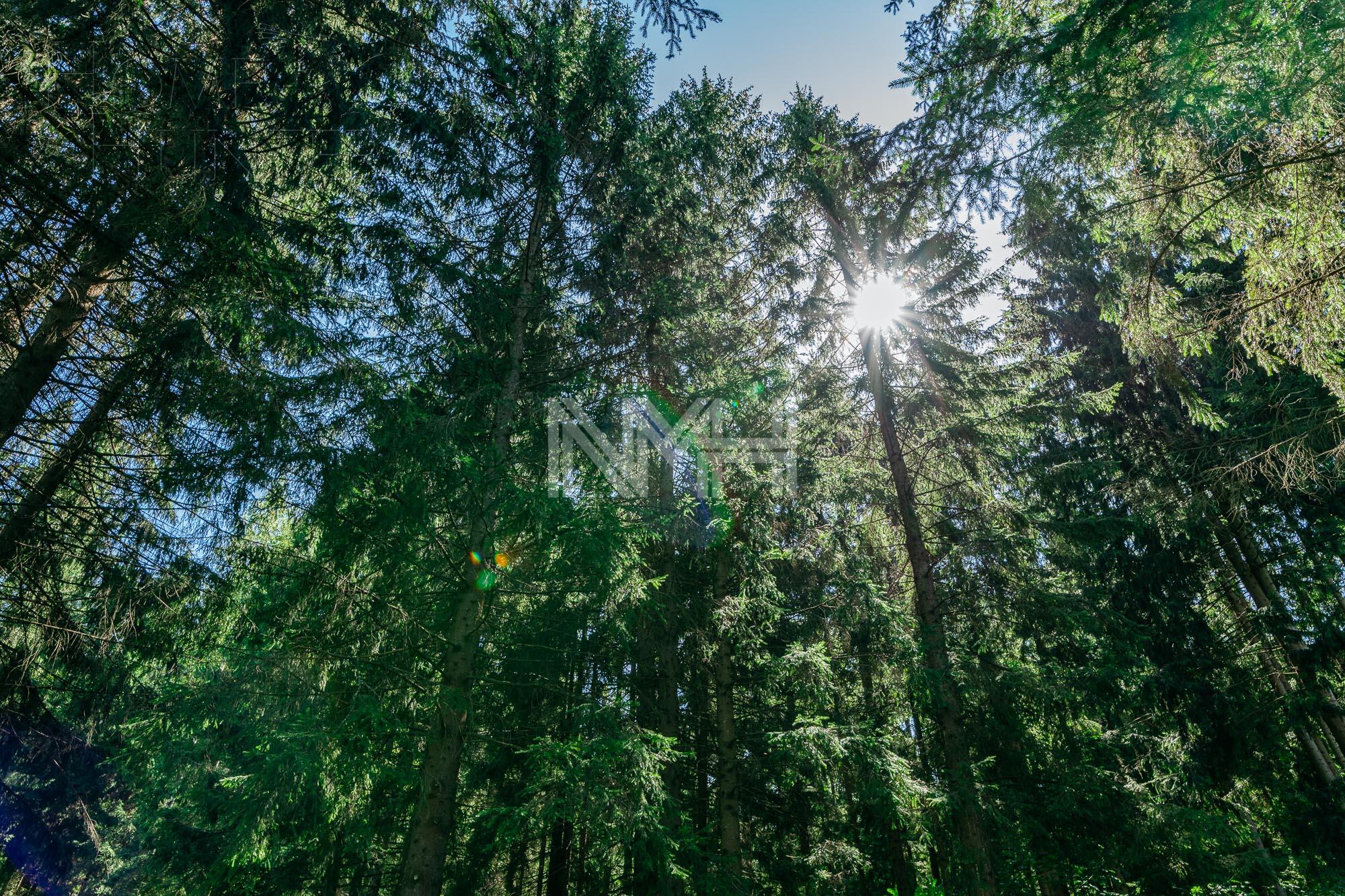 2-этажный коттедж 1 638 м² без отделки