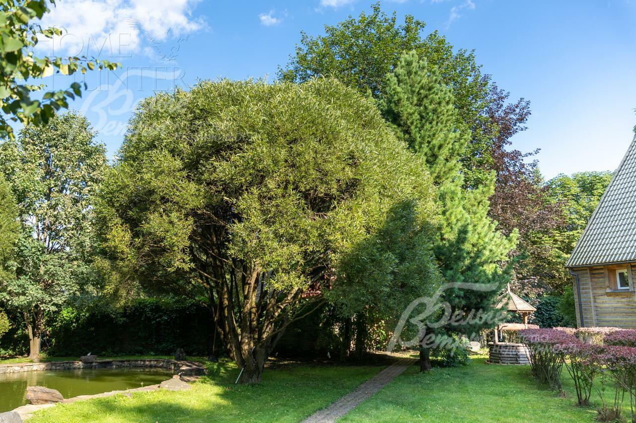 Участок 55 сот.