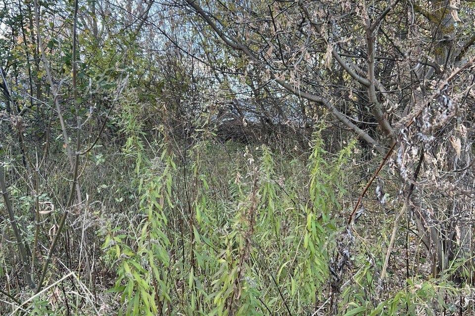 Участок 41.4 сот.