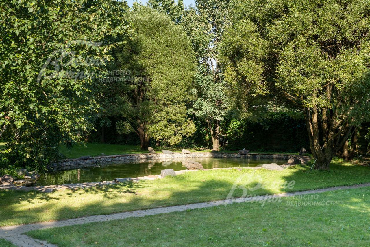 Участок 55 сот.