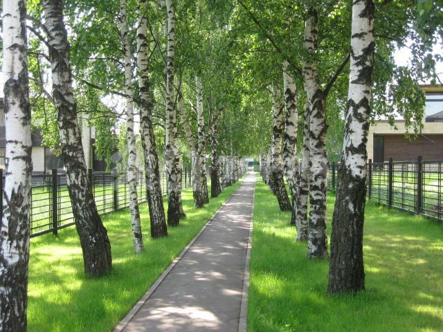 2-этажный коттедж 246.6 м² с отделкой