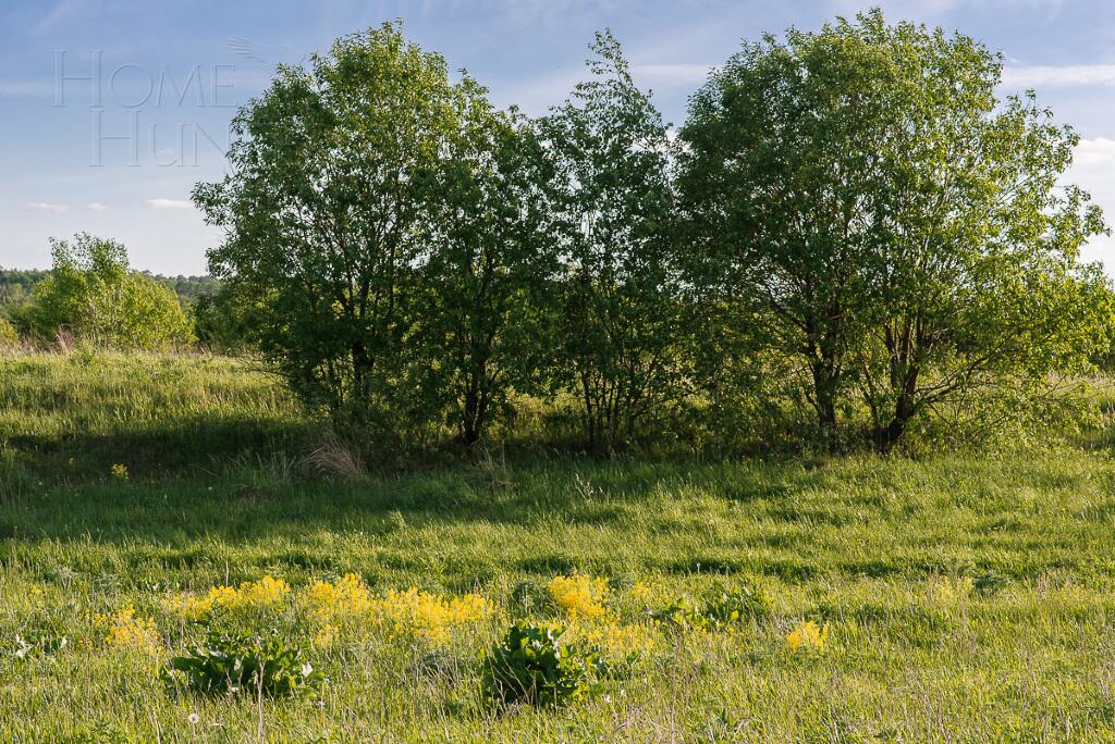 Участок 29.04 сот. в охраняемом поселке