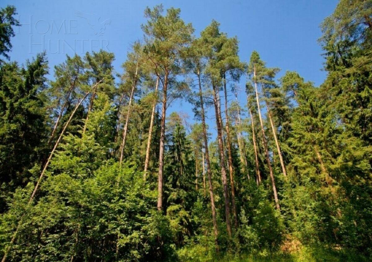 Участок 50 сот. в охраняемом поселке