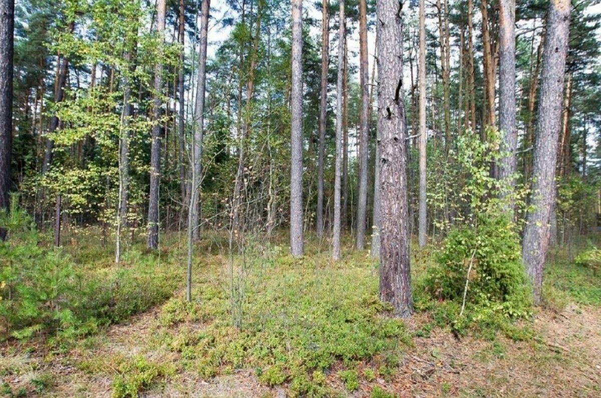 Участок 50 сот. в охраняемом поселке