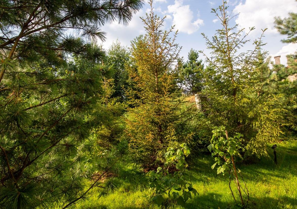 2-этажный коттедж 524 м² с отделкой