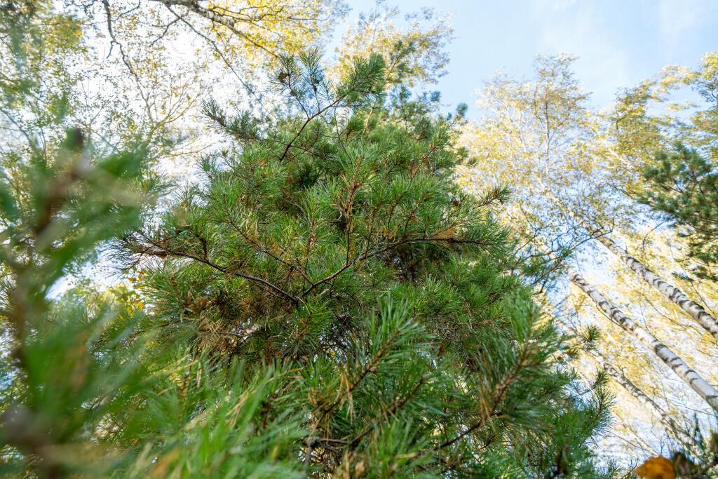 Участок 11 сот. в охраняемом поселке