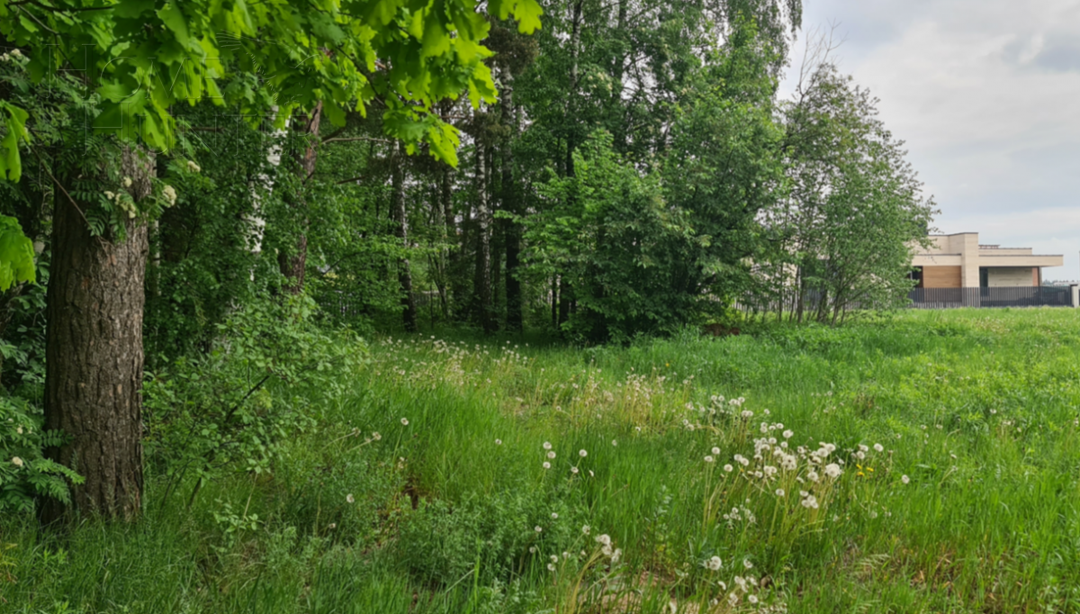 Участок 100 сот. в охраняемом поселке