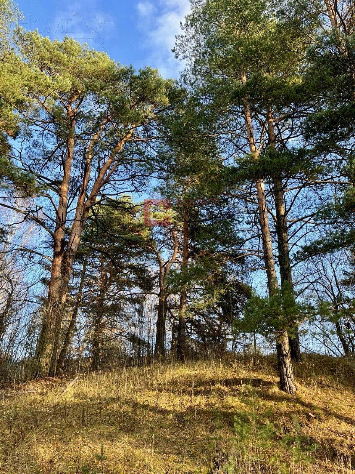 Участок 60 сот. в охраняемом поселке