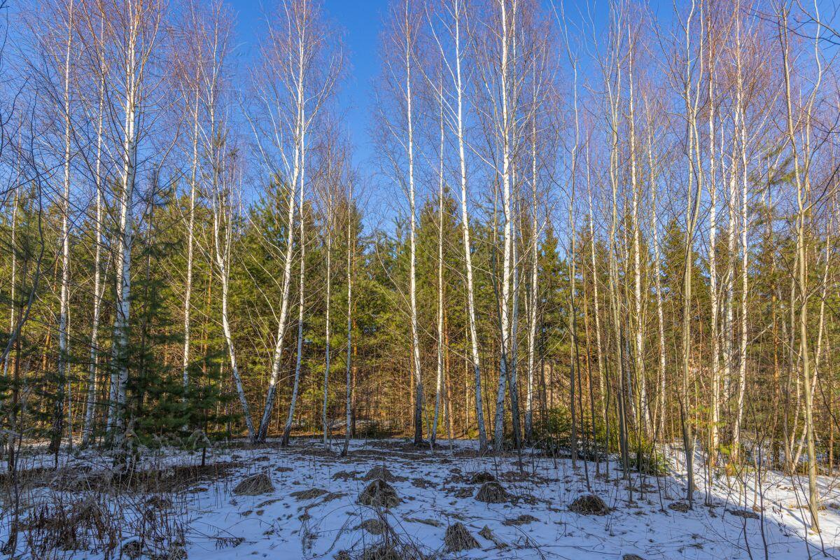 2-этажный коттедж 680 м² без отделки