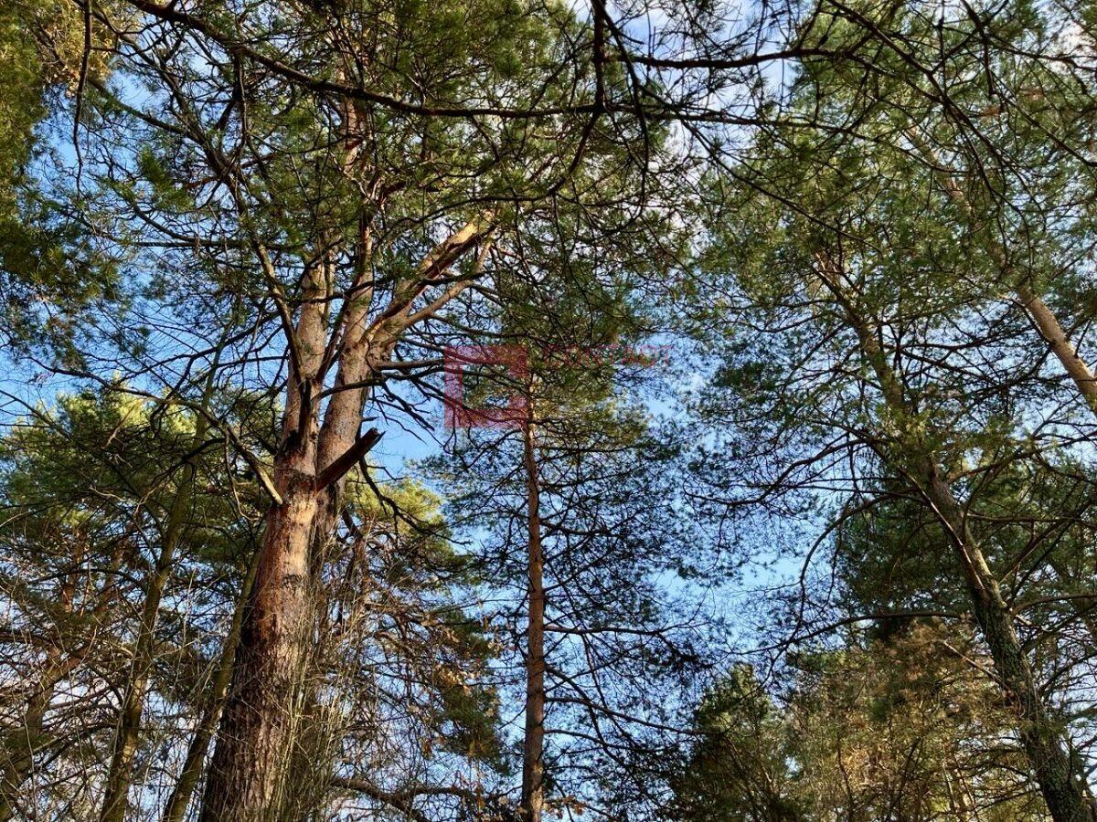 Участок 60 сот. в охраняемом поселке