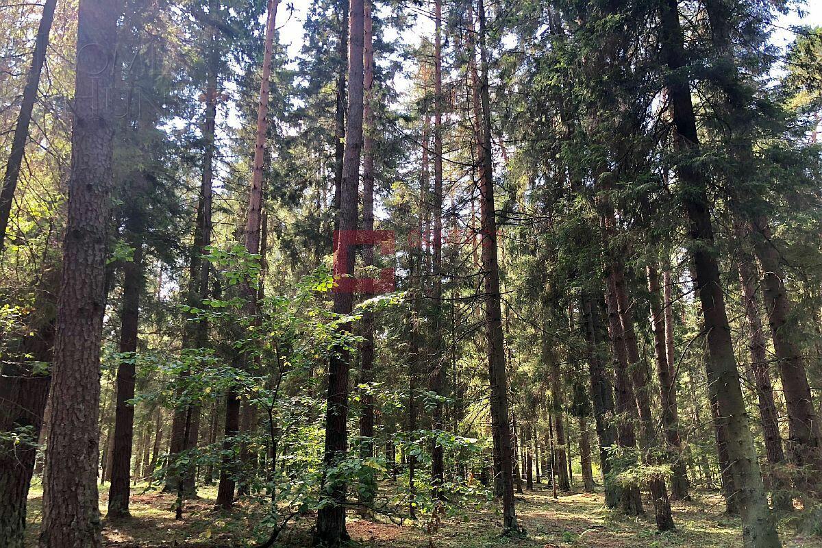 Участок 50 сот. в охраняемом поселке