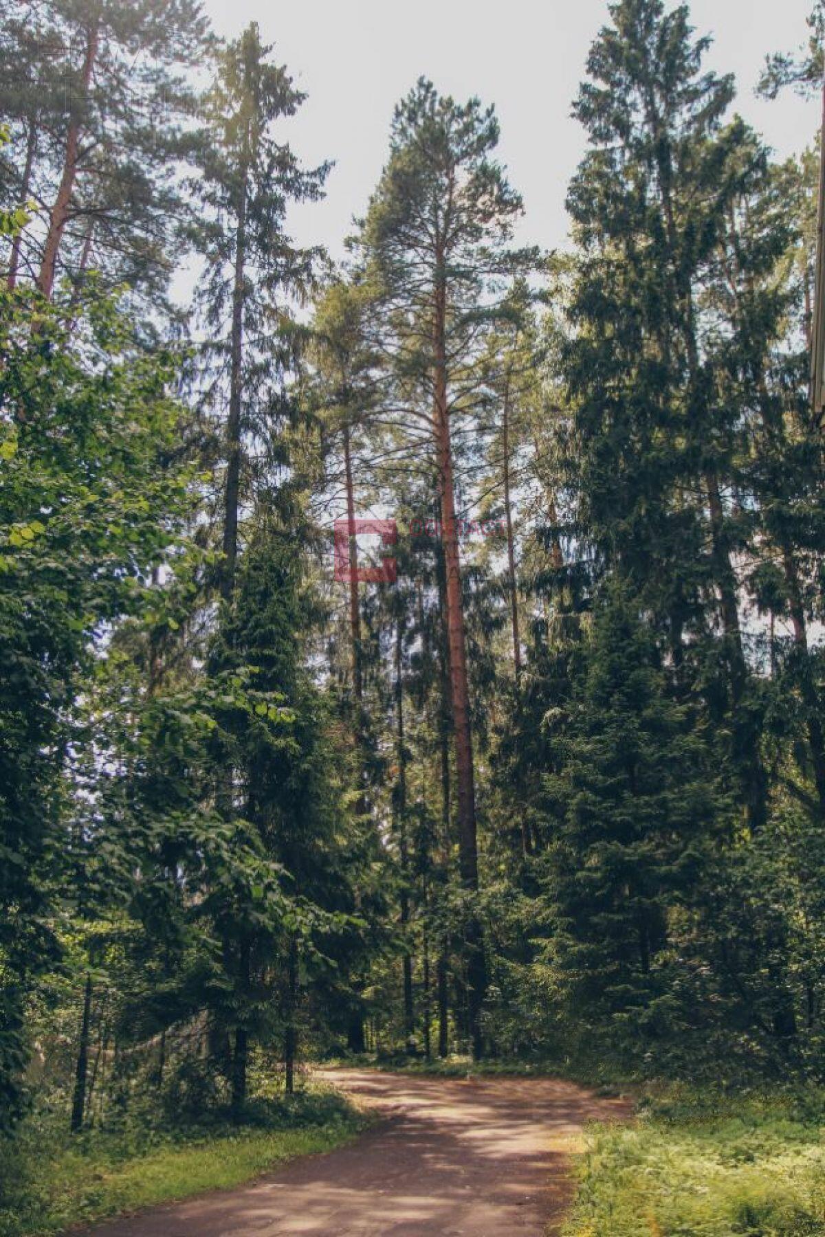 Участок 55 сот. в охраняемом поселке