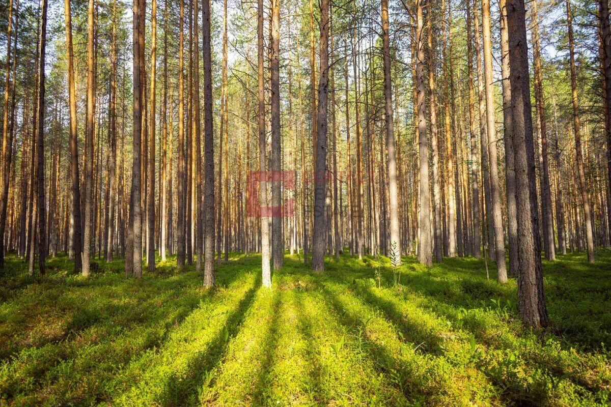 Участок 49.8 сот. в охраняемом поселке