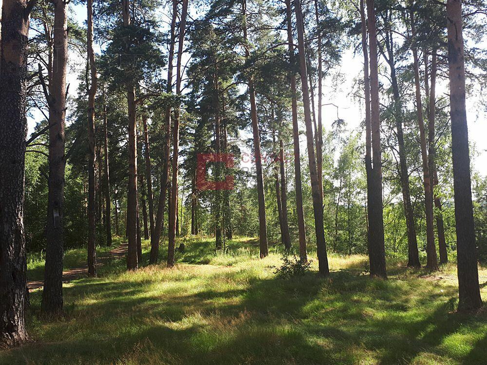 Участок 50 сот. в охраняемом поселке