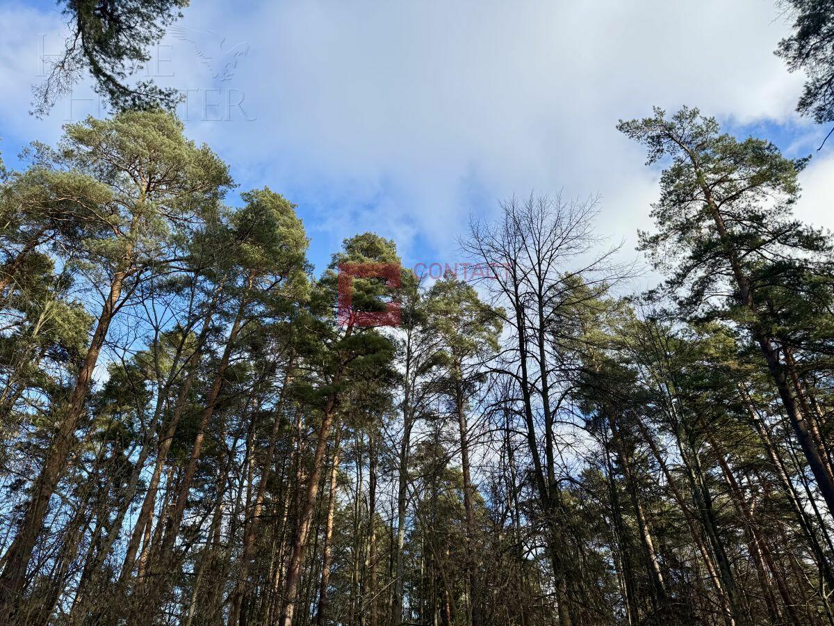 Участок 40 сот.