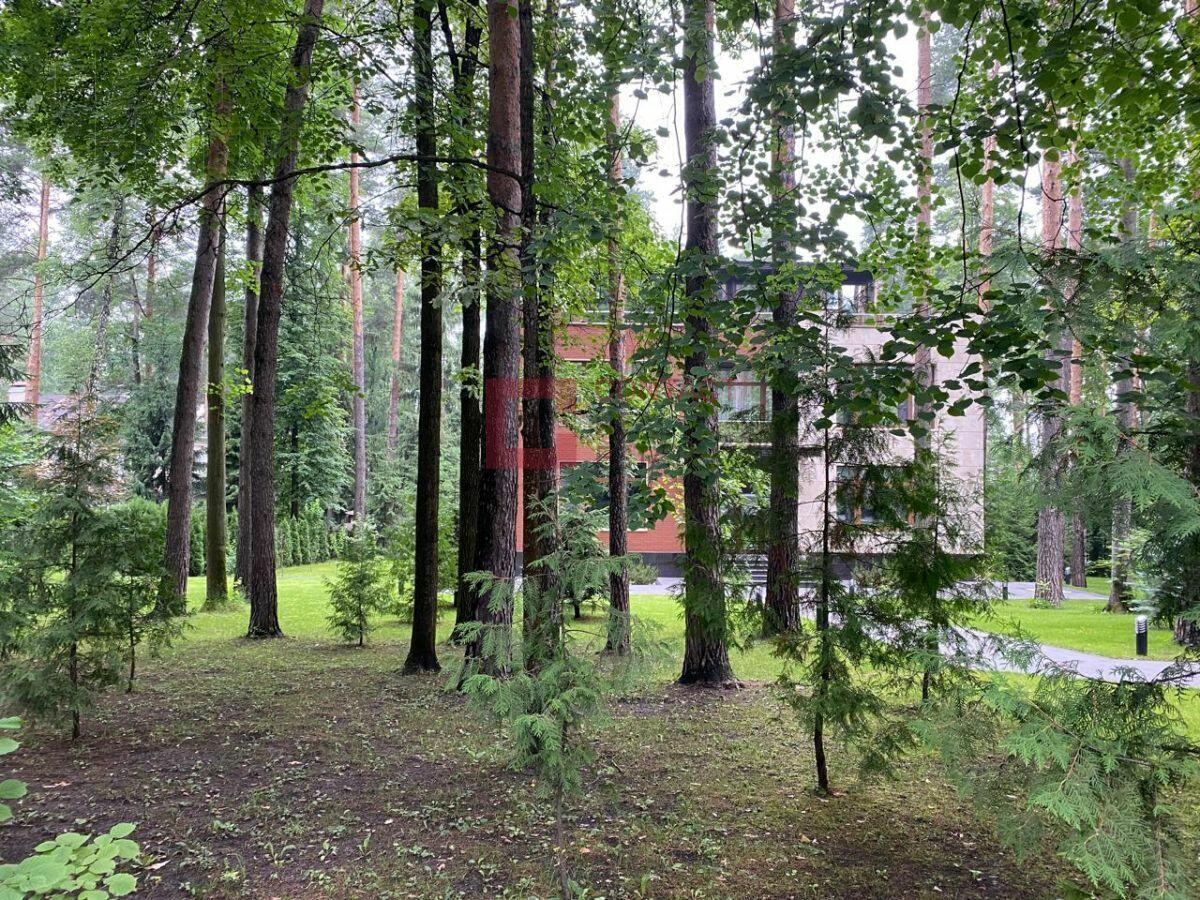 3-этажный коттедж 450 м² с отделкой