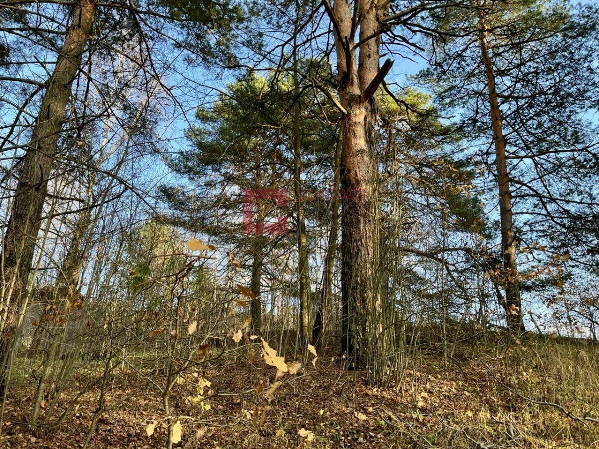 Участок 60 сот. в охраняемом поселке