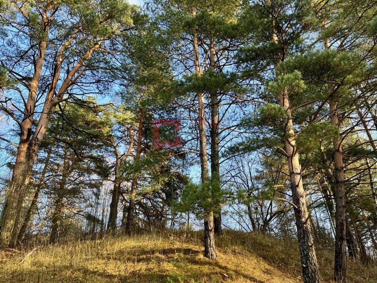 Участок 60 сот. в охраняемом поселке