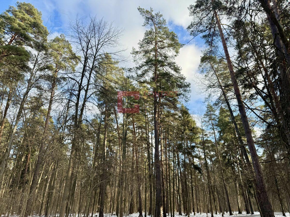 Участок 40 сот.