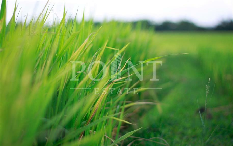 Участок 27.12 сот.