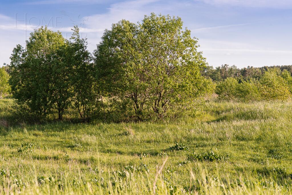 Участок 16.54 сот. в охраняемом поселке