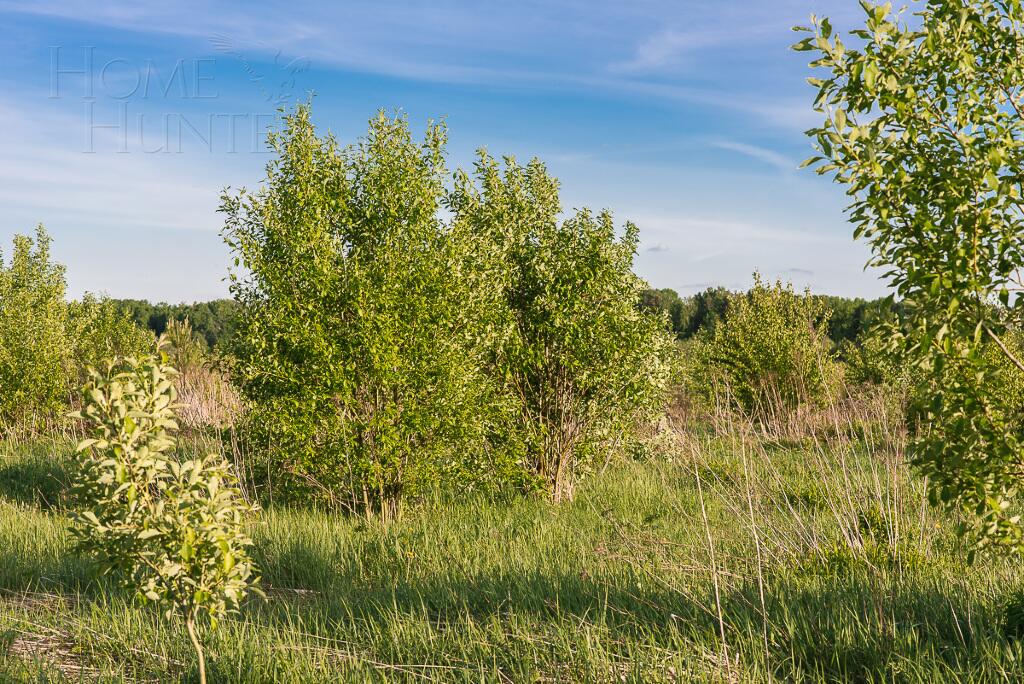 Участок 13.22 сот. в охраняемом поселке