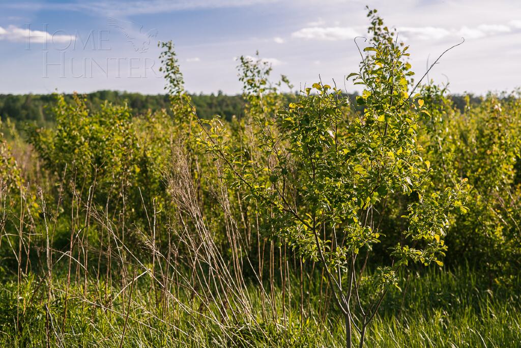 Участок 12.35 сот. в охраняемом поселке