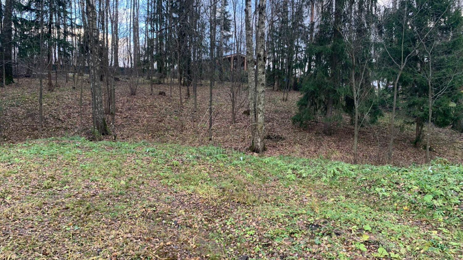 Участок 40.5 сот. в охраняемом поселке