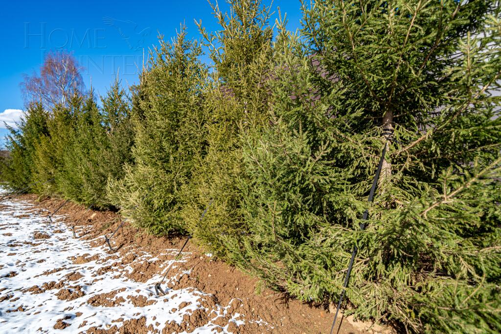 Участок 62 сот. в охраняемом поселке