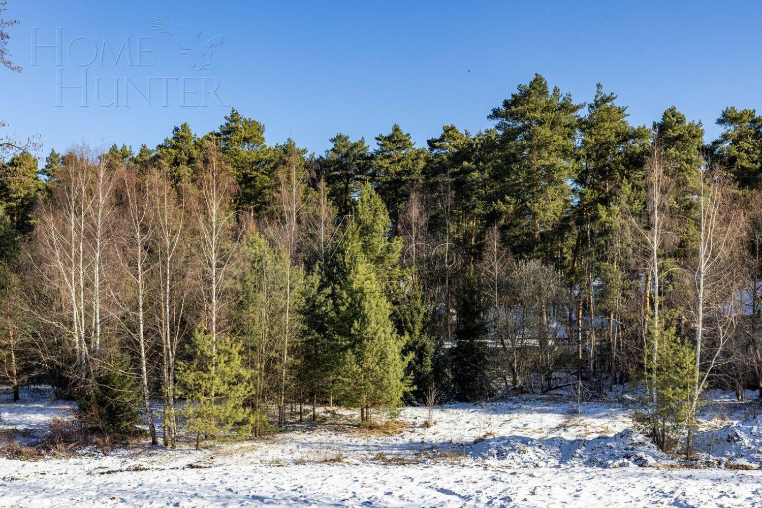 Участок 62.63 сот.