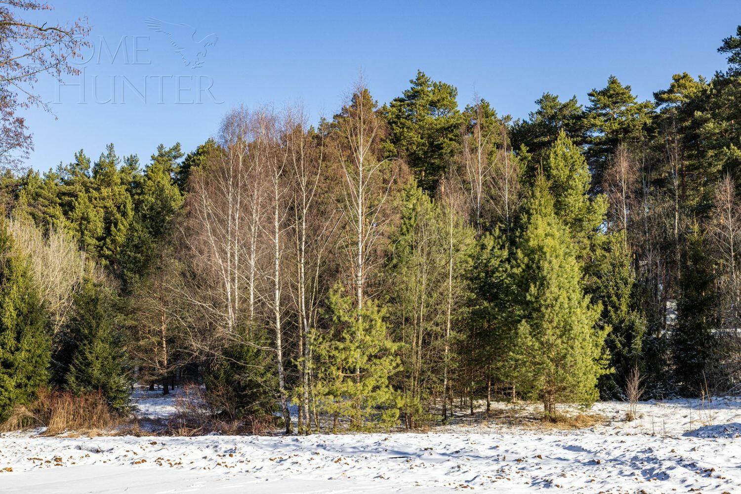 Участок 62.63 сот.