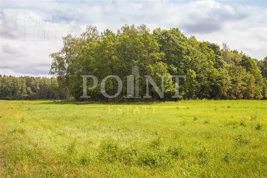 Участок 116.53 сот.