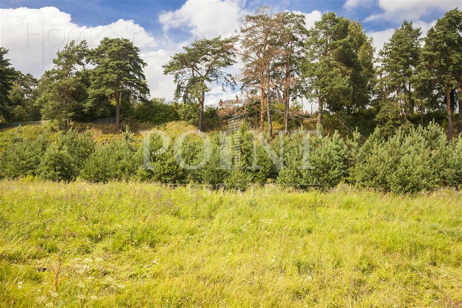 Участок 116.53 сот.